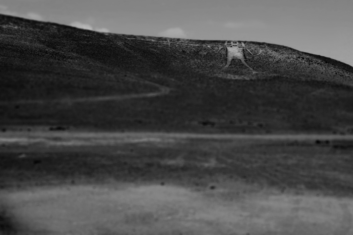 Región de Tarapacá